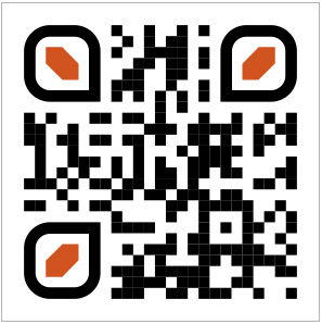 QR Code Design